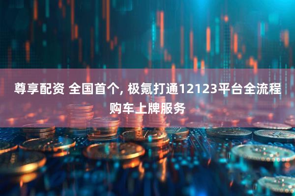 尊享配资 全国首个, 极氪打通12123平台全流程购车上牌服务